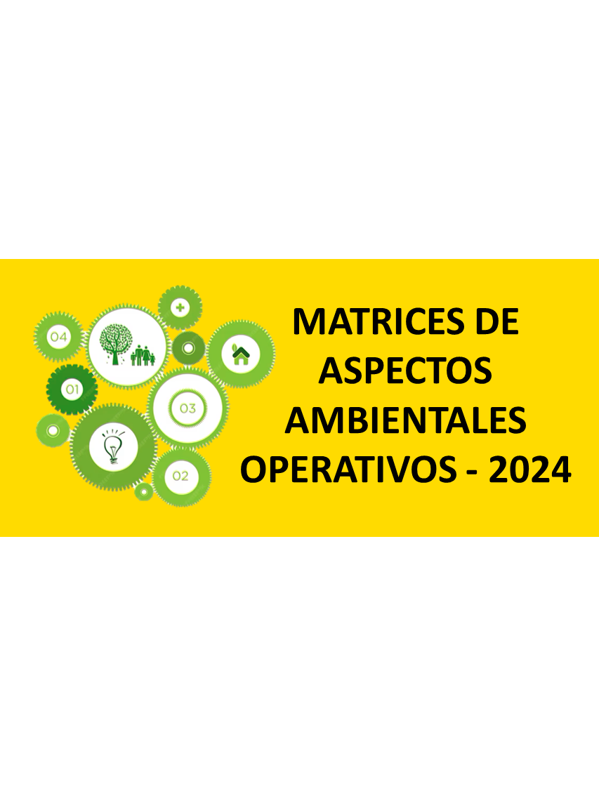 MATRICESDEASPECTOSAMBIENTALES MARITERE